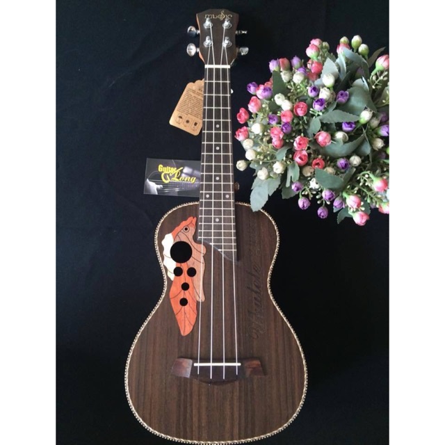 Đàn ukulele Concert Full CA120 CB1