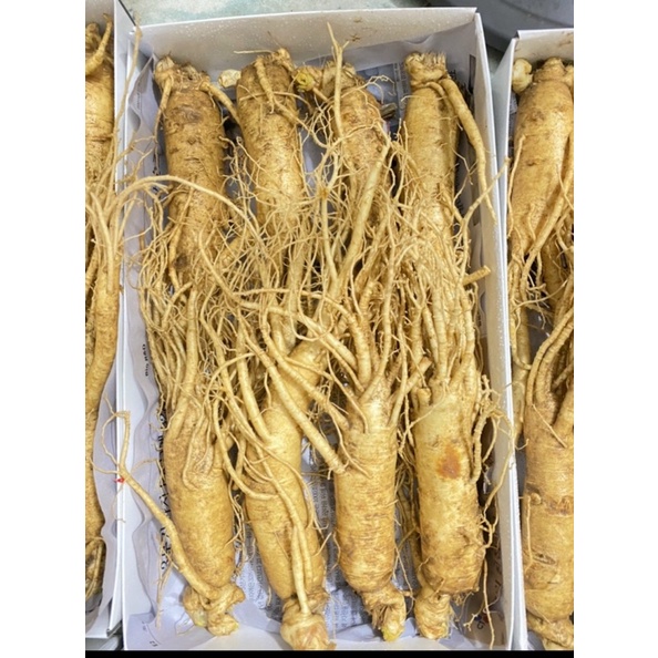 Nhân sâm tươi Hàn Quốc loại 9 củ 1 kg hàng chuẩn Korean