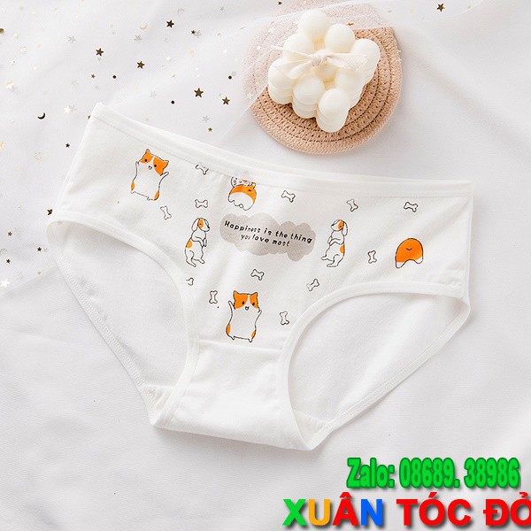 SỈ ZALO RẺ HƠN NHIỀU_ Quần Lót 5 Kiểu Mèo Siêu Kute Mới 5044 | BigBuy360 - bigbuy360.vn