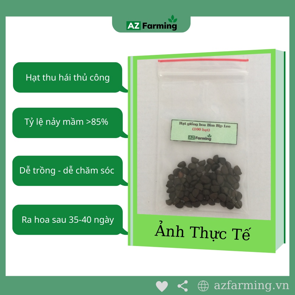 Hạt Giống Hoa Bìm Bịp Leo - Gói 100 hạt - AZ Farming