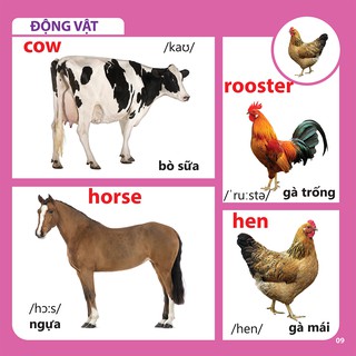 Bách Khoa Toàn Thư Cho Bé - Động Vật