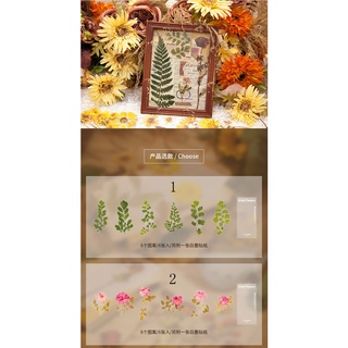 Flowertree Bộ 6 Miếng Sticker Dán Trang Trí Nhật Ký