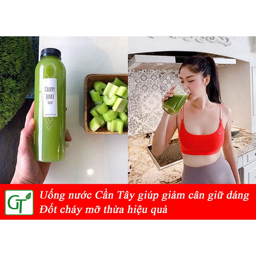 Bột Cần Tây Sấy Lạnh 100-200g 💞FREESHIP💞 Bột Cần Tây Nguyên Chất 100% Giảm Cân Nhanh, Da Xinh, Dáng Đẹp