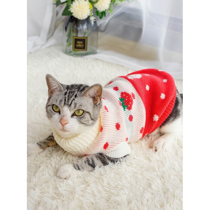 Áo Thun Len Cho Chó Mèo, Thú Cưng Style Hàn Quốc Kiểu Dáng Trendy