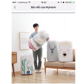 Combo túi đựng chăn màn