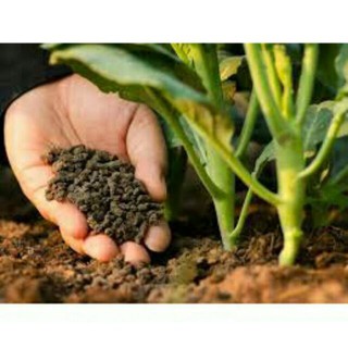 Phân gà đã qua xử lý 1kg