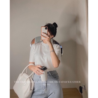 Áo len mịn CỘC TAY CỔ TRÒN basic ( Ảnh thật )