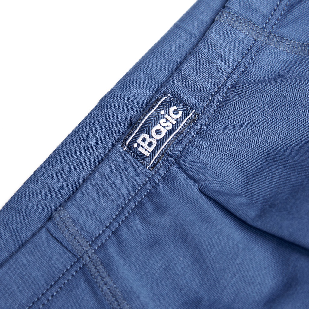 Quần lót nam cotton daily brief iBasic PANM011