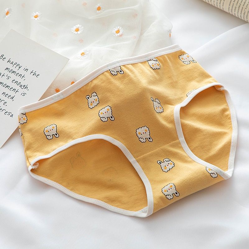 Quần Lót Cotton Hoạ Tiết Thỏ Vàng Bunny 0128