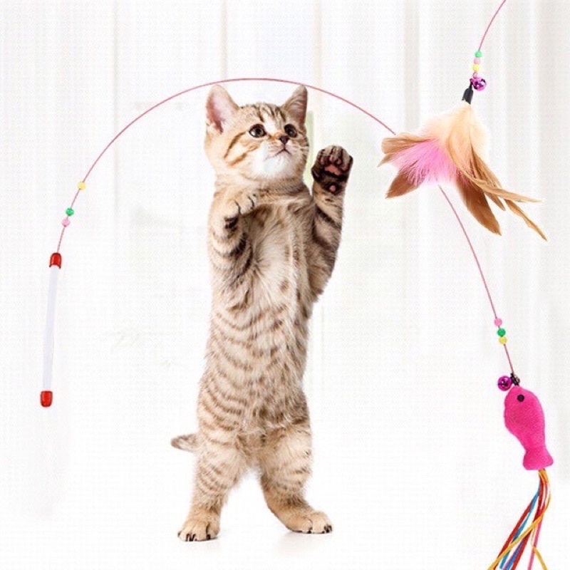 Cần câu dây thép lông vũ giúp mèo xả stress