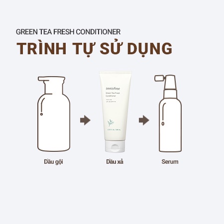 Dầu Gội Hương Hoa Dành Cho Tóc Bết Dầu Innisfree Green Tea Fresh Shampoo 310 mL - HƯƠNG HOA Camellia  300 mL
