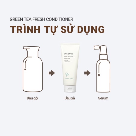 Dầu Gội Dành Cho Tóc Bết Dầu Innisfree Green Tea Fresh Shampoo 310 mL - Hoa Camellia Essential Shampoo 300 mL