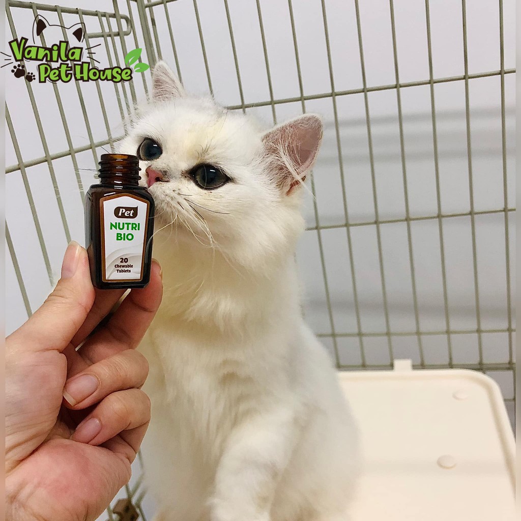 [Mã SKAMLTSW8 giảm 10% đơn 100K] [Canada] sản phẩm hỗ trợ - PET NUTRI BIO cho mèo - Loại trừ búi lông, rối loạn tiêu hóa