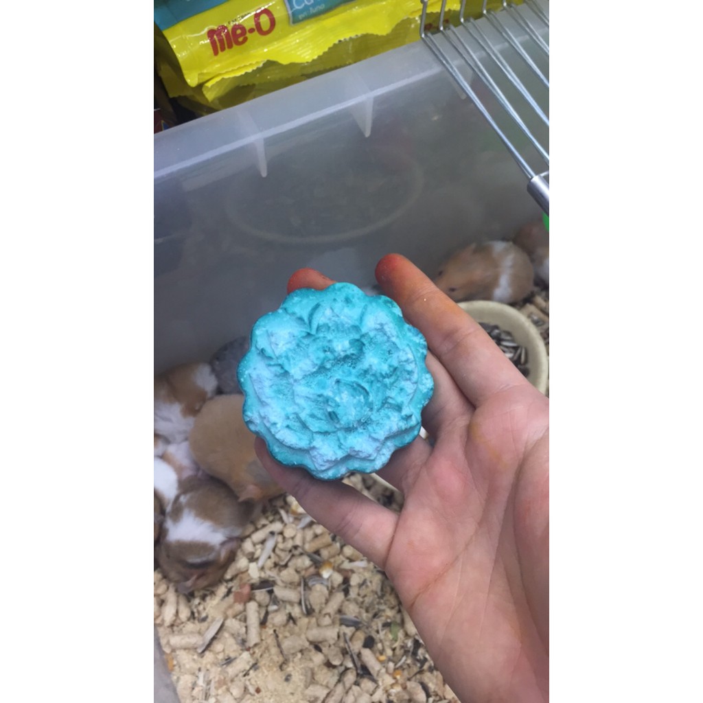 Đá mài răng hương trái cây cho Hamster