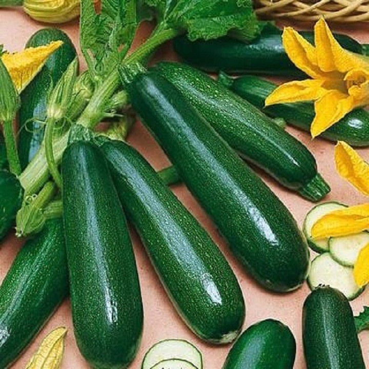 Shop 1K - Hạt giống Bí Ngồi Xanh 5 Hạt - Tặng thuốc kích hạt nảy mầm nhanh chóng