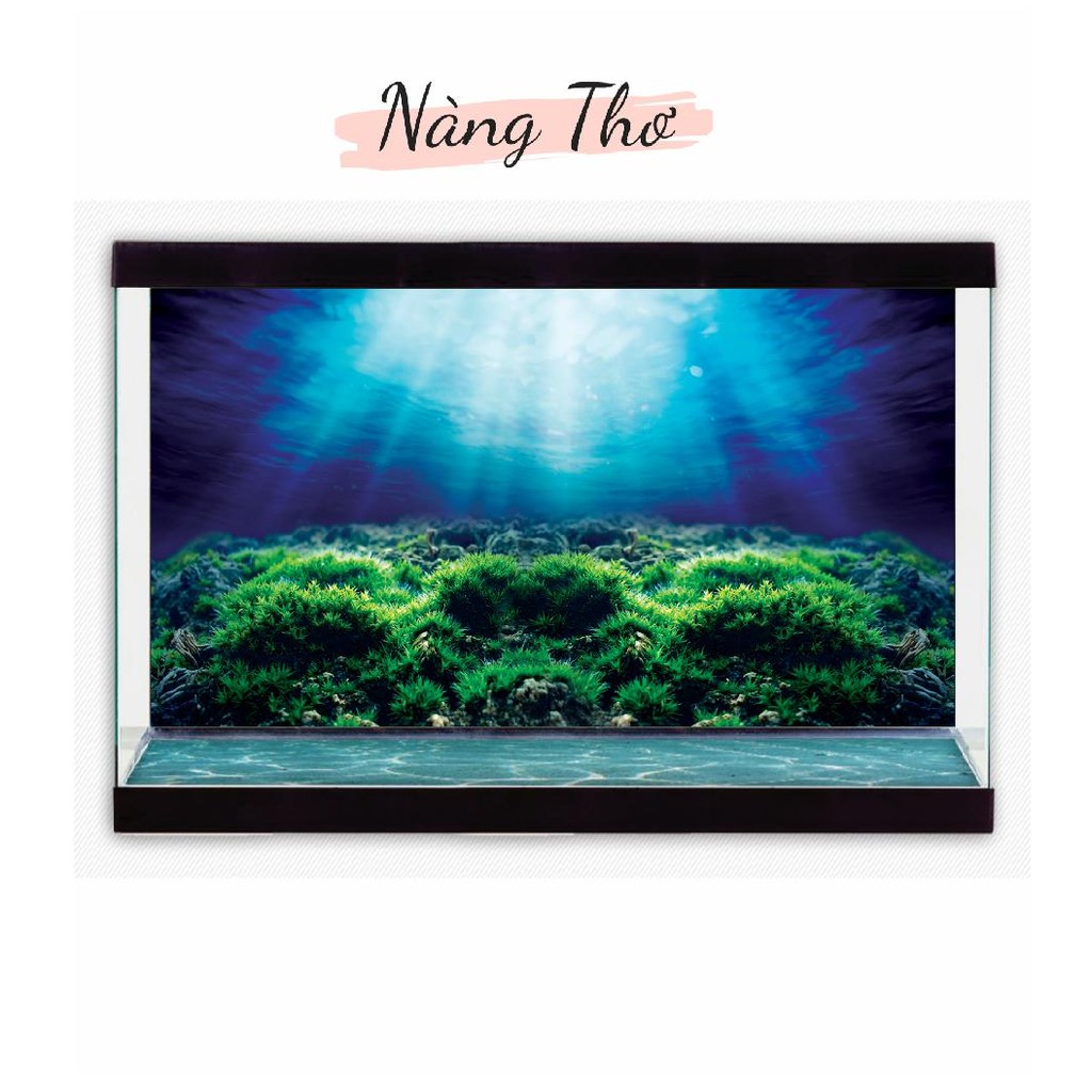 DECAL DÁN HỒ CÁ NHIỀU KÍCH THƯỚC_THIẾT KẾ NÀNG THƠ