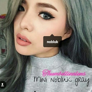 Lens xám tây Vassen Nobluk gray