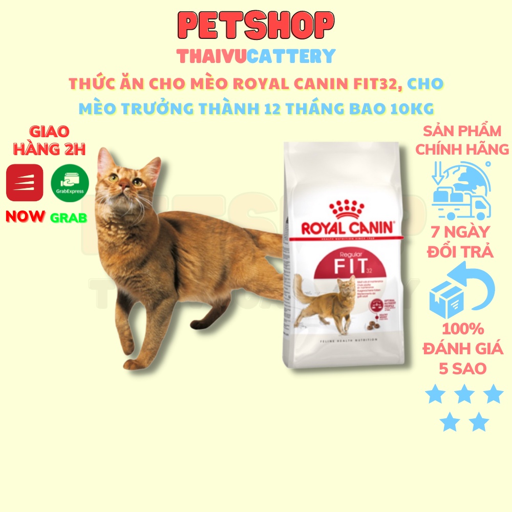 Royal Canin Fit 32 Thức ăn cho mèo bao 10 kg nhập Pháp chính hãng-Thaivucattery