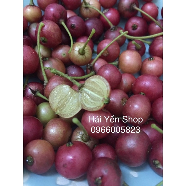 100g Quả Trứng Cá thơm ngon