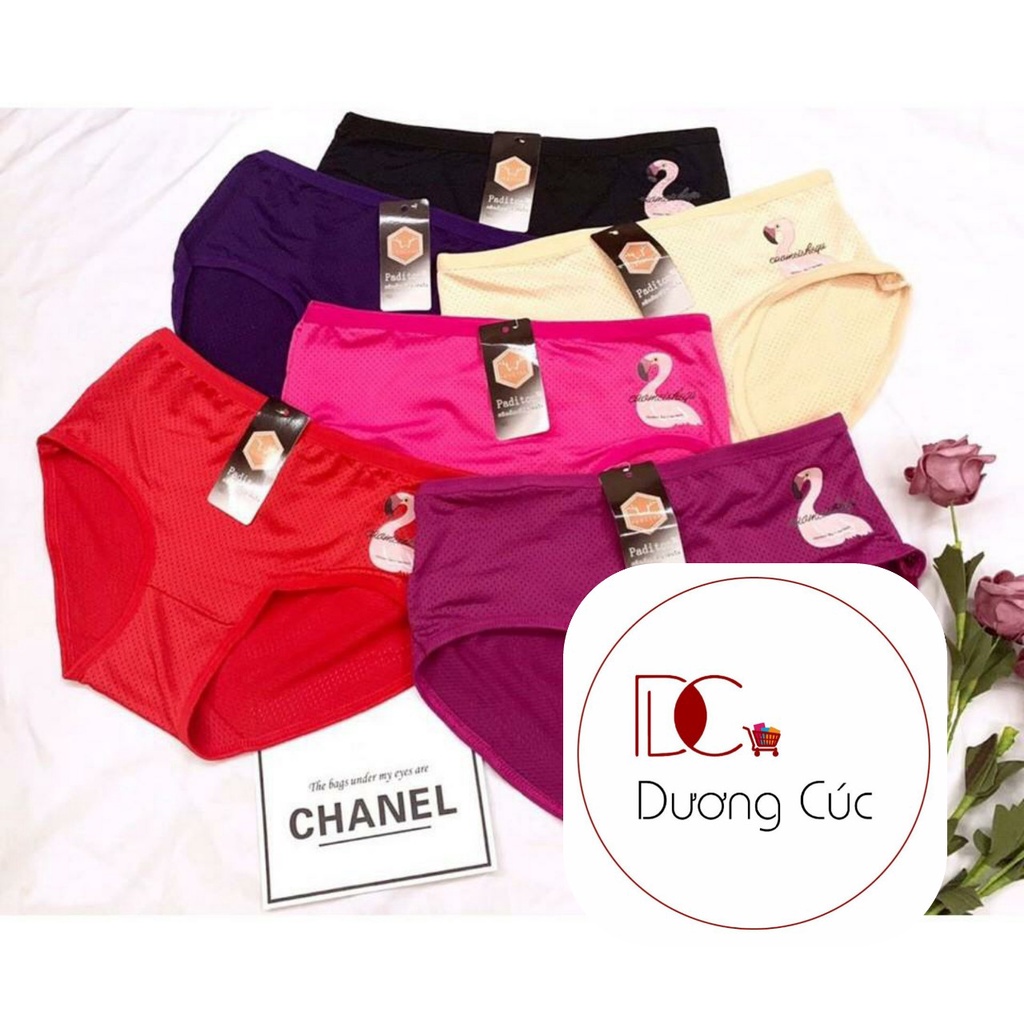 Combo 5 Quần Lót Nữ Thông Hơi - Kháng Khuẩn Thái Lan - Giá Rẻ