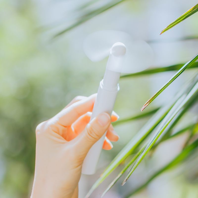 Quạt Mini CầM Tay HìNh Cây BúT