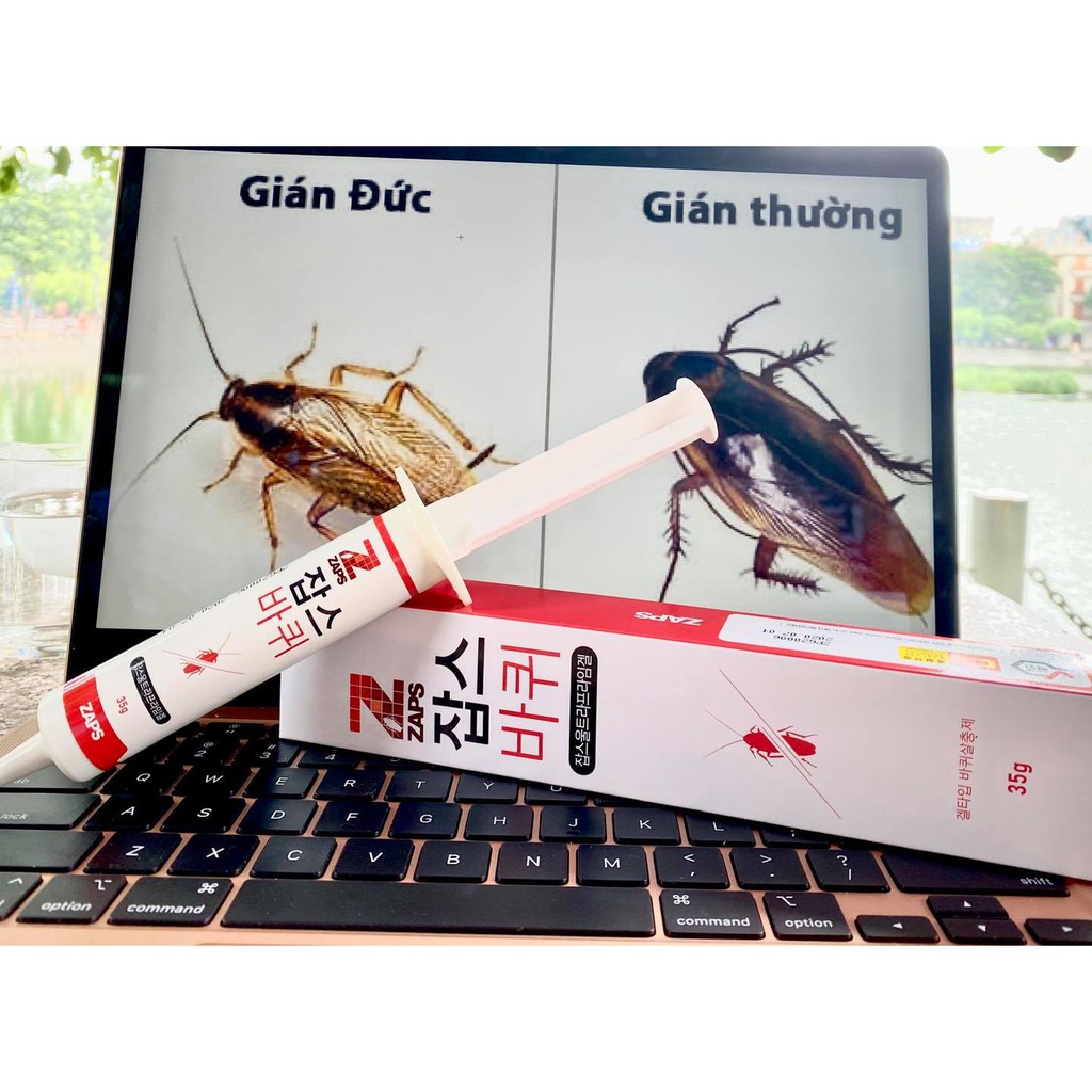 Bả diệt gián Đức Zaps của Hàn Quốc