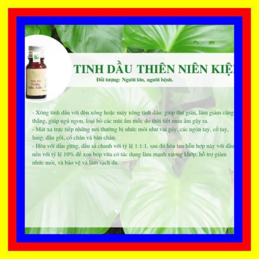 30ml- Tinh Dầu Vỏ Bưởi, Sả Chanh, Thanh Trà, Tràm, Tràm Năm Gân, Thiên Niên Kiện- Tinh Dầu Làng Hạ - Huế- Liên Minh Xanh