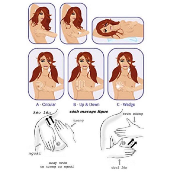 Kem Thoa Nở Ngực Dorlene Herbal Thái Lan | BigBuy360 - bigbuy360.vn