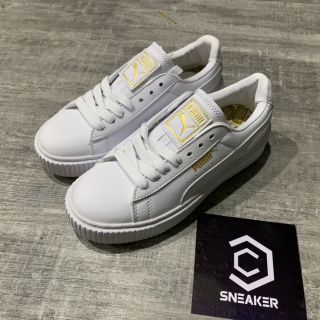 Video + ảnh thật > giày sneaker thấp cổ trắng full