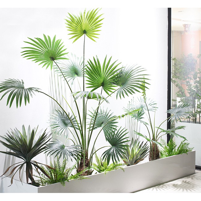 Cây Cọ Giả bằng nhựa trang trí nhà cửa - 175cm - CC286 - Jassi Decor