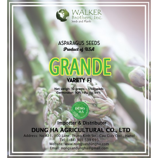 Hạt Giống Măng Tây Xanh Grand F1 gói 20 hạt