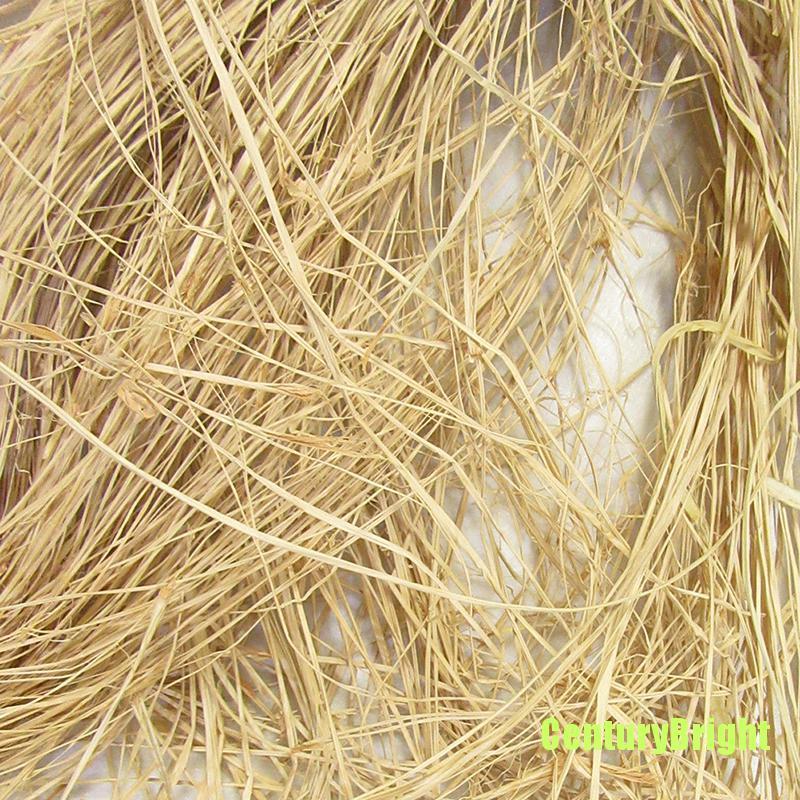 1 Cuộn Dây Ruy Băng Raffia 30g