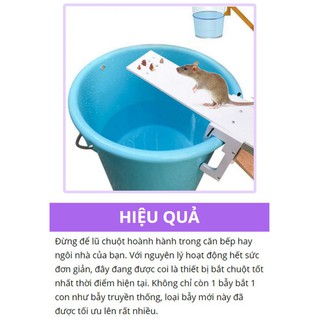 BẪY CHUỘT SIÊU ĐƠN GIẢN MOUSETRAP TECH 