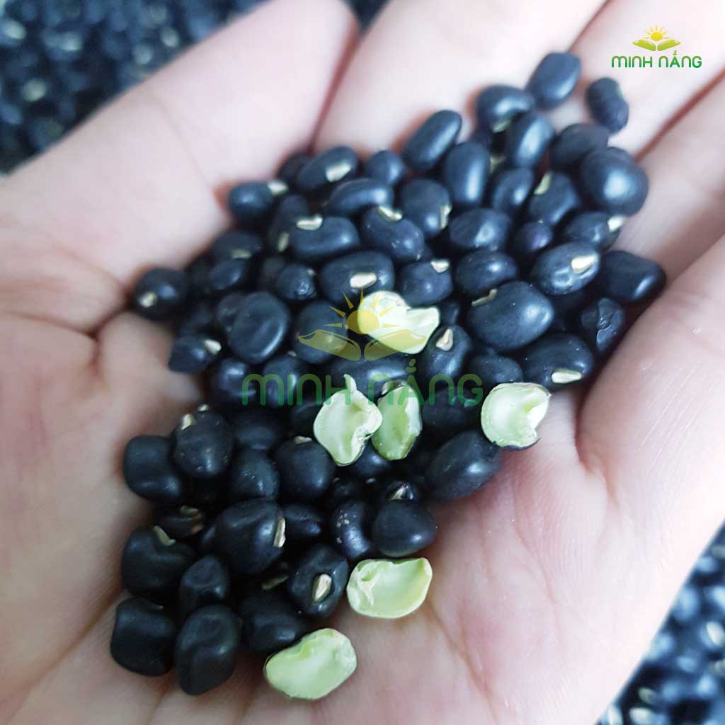 Đậu đen xanh lòng, Đỗ Đen xanh lòng, loại trồng hữu cơ, hạt nhỏ, Chuẩn đậu quê. ( Túi 0,5 kg)