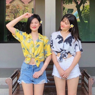 Sơ mi cây dừa
