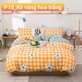 Sét chăn ga gối cotton poly