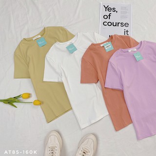 Áo thun trơn Nhiên vintage basic cổ tròn AT85