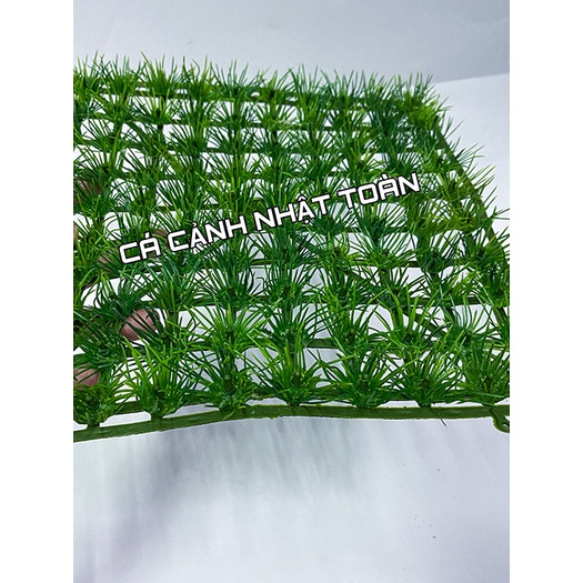 THẢM CỎ NHỰA KIM TRANG TRÍ HỒ CÁ 25X25CM