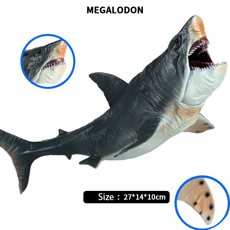 Đồ Chơi Mô Hình Cá Mập Biển Megalodon Sinh Học Cho Bé
