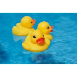 Đàn vịt chíp chíp thả bồn tắm cho bé