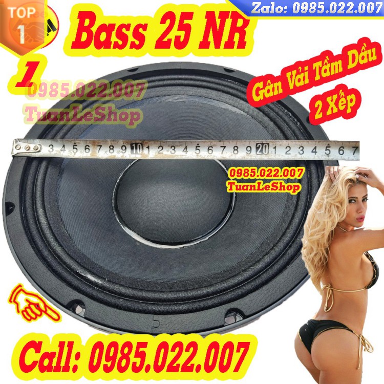 LOA BASS 2.5 TẤC COI 75 NR TỪ 190 – GIÁ 01 CỦ LOA 25