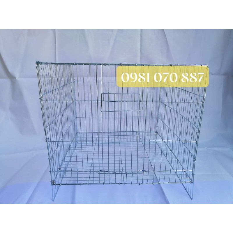 Lồng mèo, chim, thú cưng