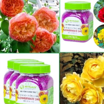 Phân bón thông minh RYNAN - nkp 14-14-14+te FL240-150g (cung cấp dưỡng chất 90 ngày)