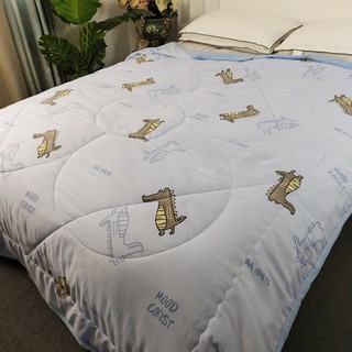 chăn đũi hè zara home
