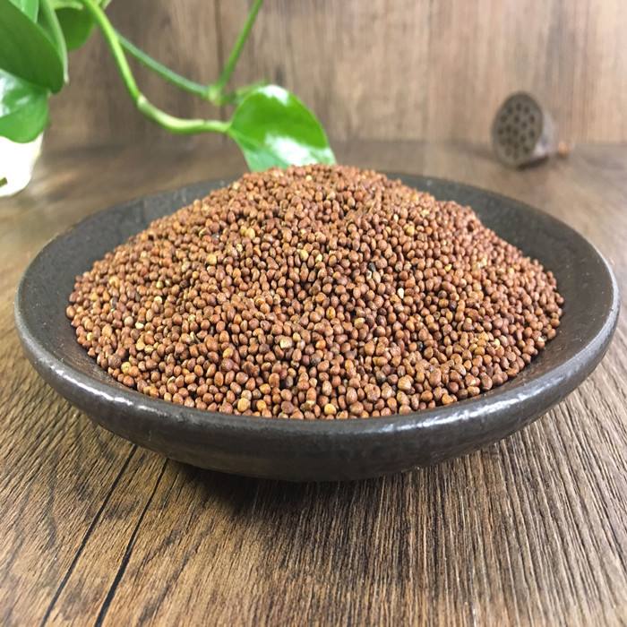 Hạt Tía Tô ( Tô Tử ) khô sạch 100 gram.