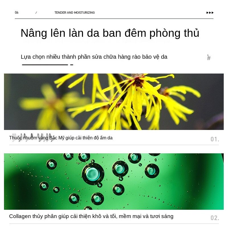 (Hàng Mới Về) 1 Mặt Nạ Bioaqua 4ml Tinh Chất Lô Hội Dưỡng Ẩm Kiềm Dầu Cho Da | BigBuy360 - bigbuy360.vn