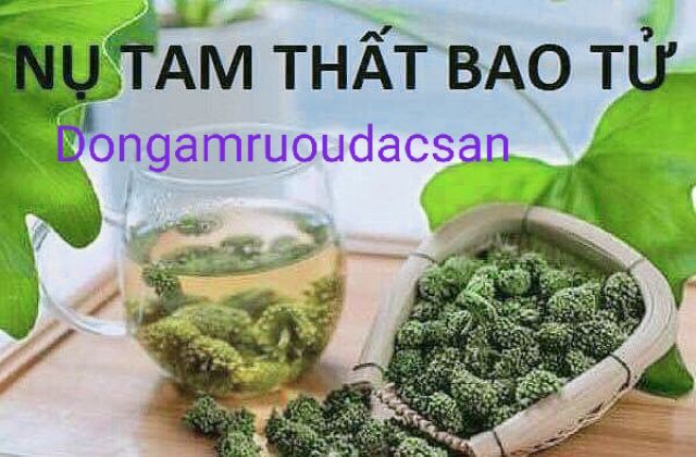 NỤ TAM THẤT BAO TỬ VIP KHÔNG CUỐNG 500G