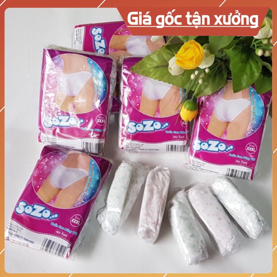 Gói 5 quần lót giấy Sozo hàng cao cấp cho bà bầu (5 quần/gói)