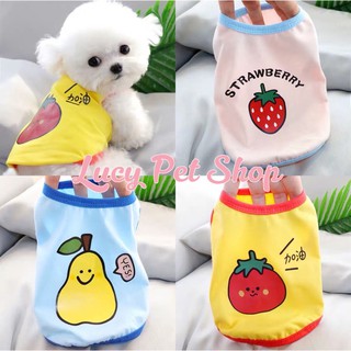 Áo ba lỗ cho chó mèo áo thun sát nách dễ thương hoạ tiết trái cây thời trang thú cưng