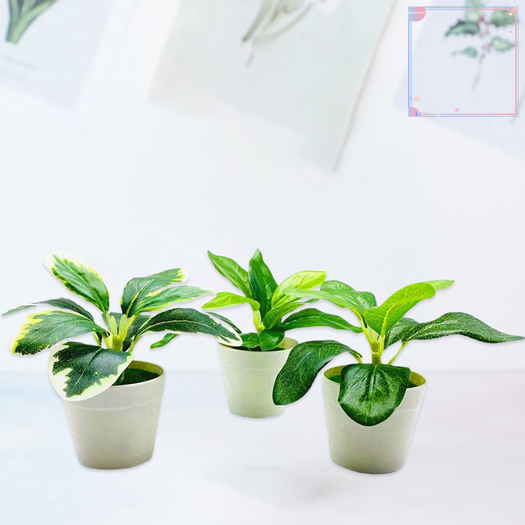 Chậu Cây Cảnh Nhân Tạo Bằng Nhựa Sống Động Trang Trí Nhà Cửa